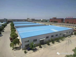 寧夏一輪胎廠近期拍賣 德國零部件巨頭預測 未來三年汽車產量下降難改觀