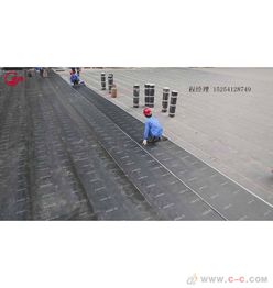 聚酯胎復(fù)合胎銅胎基c德州sbs耐根穿刺阻根防水卷材